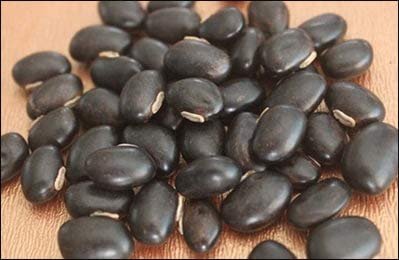 Mygodgift Black Kaunch beej, Konch Seed, Kala Koch ke beej, Alkushi, Kauch, Mucuna Pruriens, Velvet Beans, Kapikachhu, Cowitch, Cowhage (200g)