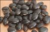 Mygodgift Black Kaunch beej, Konch Seed, Kala Koch ke beej, Alkushi, Kauch, Mucuna Pruriens, Velvet Beans, Kapikachhu, Cowitch, Cowhage (200g) view 1