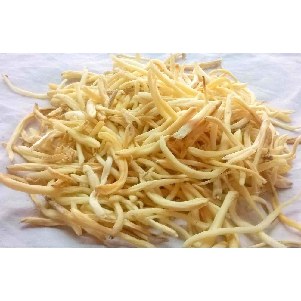 100% Natural Safeed Musli Safed Musli/Chlorophytum Borivilianum Root