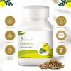 Four Seasons Gokshura Men's Wellness Tablets, 60 Tablets | Natural Ayurvedic Supplement for Daily Wellness | Improves vigour (2) view 2