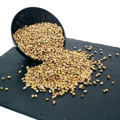 Nurito Dhaniya/Coriander -250g