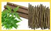 Dhanya Organic Neem Datun (Moti Datun) Organic Toothbrush Nim Sticks for Brushing Teeth Removes Bad Breath, Relieve Tooth Ache, Healthy Toothpaste Pack of (Nim, 40) view 4