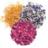 A D Food & Herbs Combo of Dried Butterfly Pea Flower/Marigold/Rose Flower Petals Aromatic Edible for Homemade Lattes, Tea Blends, Bath Salts, Gifts, Crafts each pack (100 Gms) view 1