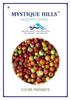 Mystique Indian BER Fruit Preserve (Jujube) (500 g) view 1
