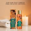 Ashpveda Deep Relax Body Oil with Lemongrass & Eucalyptus | Ayurvedic Massage Oil for Stress Relief, Muscle Tension & Skin Hydration | Lightweight & Fast Absorbing (120 ml) view 2