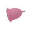 DGARYS Menstrual Cup, Medical Silicone, Clear, 1 Count (Pack of 1), No Leakage, Odour & Rash Free, Protection For Up To 8-10 Hours view 3