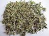 MyGodGift Tulsi Leaves | Tulsi Patti |Basil Leaves | Ocimum sanctum Leave | basil Leaf | Dry Tulsi Leaves (200g) view 1