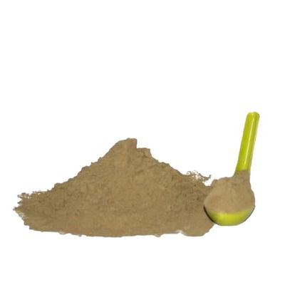 My God Gift Basil Leaf Powder/Tulsi Patta Powder/Ocimum sanctum/Dry Tulsi Leaves Powder/Dry Basil Levaes Powder (100g)
