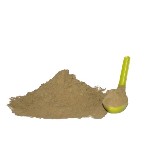 My God Gift Basil Leaf Powder/Tulsi Patta Powder/Ocimum sanctum/Dry Tulsi Leaves Powder/Dry Basil Levaes Powder (100g)