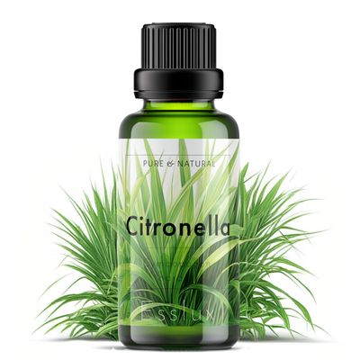 Esslux Citronella Essential Oil - 100% Pure Natural Citronella Oil for Diffuser, Candle Making & Skin | Refreshing Aroma for Aromatherapy & Outdoor Protection - Perfect for DIY Projects - 60 ML