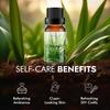 Esslux Citronella Essential Oil - 100% Pure Natural Citronella Oil for Diffuser, Candle Making & Skin | Refreshing Aroma for Aromatherapy & Outdoor Protection - Perfect for DIY Projects - 60 ML view 4