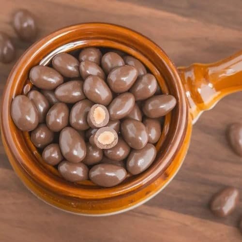 Dried Treats chocodip Flavoured Mango -500g (2*250g)
