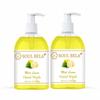 Soul Bela Mint Lemon Hand Wash with Lemon Extract & Mint | Reduce risk of infections | Moisturize skin| Gentle on hands | (300Ml, Pack Of 2) view 1