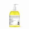 Soul Bela Mint Lemon Hand Wash with Lemon Extract & Mint | Reduce risk of infections | Moisturize skin| Gentle on hands | (300Ml, Pack Of 2) view 2