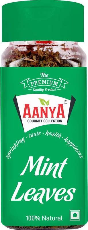 AANYA GOURMET COLLECTION Mint Leaves 24 gm