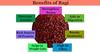 puff-g Combo Pack Of 6 Roasted Puffed Gluten Free & Healthy Premium Snacks(Ragi Chipotle) view 3