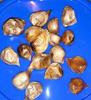 Aaswad Impex Aaswad Peeled Black Garlic(510 Grams)18 Oz view 3