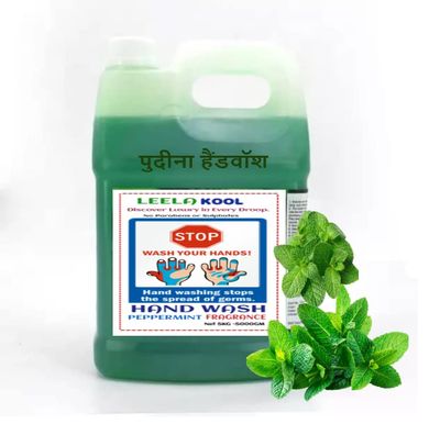 Leela Kool Peppermint Moisturizing Hand Wash Soap with Extra Strong Germ Disinfectant Protection 5 Litre Refill | 5 L Handwash Pack(Peppermint)