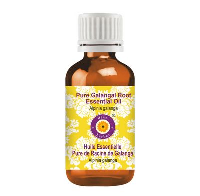 Deve Herbes Galangal Root Essential Oil (Alpinia galanga) Pure | Non-Sticky | Non-greasy | Lightweight | Men & Women | All Skin Types | Steam Distilled 10ml