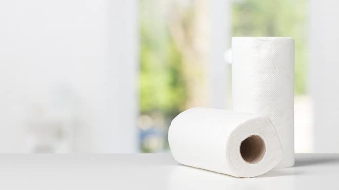 Extra Soft and Extra Thick, Kitchen Tissue Paper Roll, 4 Ply Pack of 2