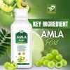 Prime Amla Ras  Ayurvedic Immunity Booster | Rich in Vitamin C | Good for Skin, Hair, Digestion & Liver Health  500 ML X 2 view 3