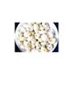 HARAYUG Phool Makhana-Makhane-Fox Nut (500g, Pack of 2) view 2