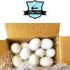 PIGEON FUEL Dummy Plastic Eggs (24 PCS Pack) view 2