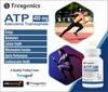 Trexgenics ATP Adenosine Triphosphate 400 mg Energy, Metabolism, Endurance, Cellular Health VEGAN & NON-GMO (30 Vcaps) (Pack of 2) view 3