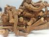 NATURALIFE'S-*KANDAN THIPILLI*-INDIAN LONG PEPPER I PIPER LONGUM I  I PIPARA I PIPLI I PIPPALI I KATTUTHIPILI I TIPPALI I PIPPALU| DESAVARAM-50 GRAMS view 3