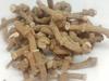NATURALIFE'S-*KANDAN THIPILLI*-INDIAN LONG PEPPER I PIPER LONGUM I  I PIPARA I PIPLI I PIPPALI I KATTUTHIPILI I TIPPALI I PIPPALU| DESAVARAM-50 GRAMS view 4