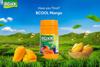 Bcool mango & lemon instant drink mix 750g for all age groups(pack of 2) view 2