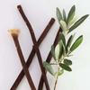 Olive Natural Tooth Brush Miswak Sticks Family Pack | Zaitoon Miswak | Pack of 6 view 2