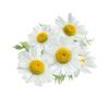 A D Food & Herbs Dried Chamomile Petals Aromatic Edible for Homemade Lattes, Tea Blends, Bath Salts, Gifts, Crafts (150 Gms) view 3