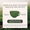 Makaibari Green Bru Darjeeling | Tea Bags| USDA Certified Premium Green Tea | Anti-Oxidants, Immunity Booster | 100% Organic | 100 Tea bags view 4