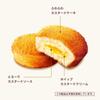 Lotte Custard Cake 1 Box | 6 Pieces | Made in Japan view 4