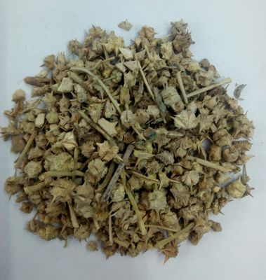 Gokhru Chota 50 GM
