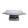 Dr. Care Digital Baby Weighing Scale, Infant, & Toddler Tray Weight Scale Measure Up To 30Kg With LCD Display Baby Weight Machine,White view 2