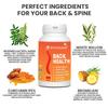 Nutrisage Back Health, Spine and Disc, Back Pain Relief with 9 Potent Herbs - All Natural, Help Relieve Back Pain, Spondylitis, Herniated Disc 60 Veg Cap (Pack of 2) view 4