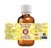 Deve Herbes Palo Santo Essential Oil (Bursera graveolens) Pure | Non-Sticky | Non-greasy | Lightweight | Men & Women | All Skin Types | Steam Distilled 15ml view 2