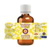 Deve Herbes Mugwort Essential Oil (Artemisia vulgaris) Pure | Non-Sticky | Non-greasy | Lightweight | Men & Women | All Skin Types | Steam Distilled 15ml view 2