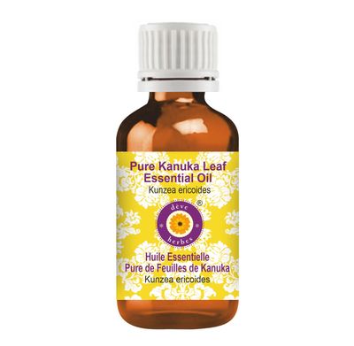 Deve Herbes Kanuka Leaf Essential Oil (Kunzea ericoides) Pure | Non-Sticky | Non-greasy | Lightweight | Men & Women | All Skin Types | Steam Distilled 100ml