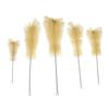CALANDIS 5 Pieces Beaker Brush Cleaner Tool for Lab Supplies for 100Ml Beaker view 3