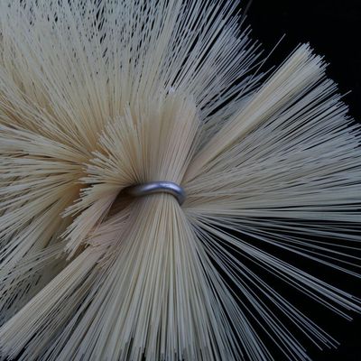 CALANDIS 5 Pieces Beaker Brush Cleaner Tool for Lab Supplies for 500Ml Beaker