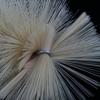 CALANDIS 5 Pieces Beaker Brush Cleaner Tool for Lab Supplies for 500Ml Beaker view 1