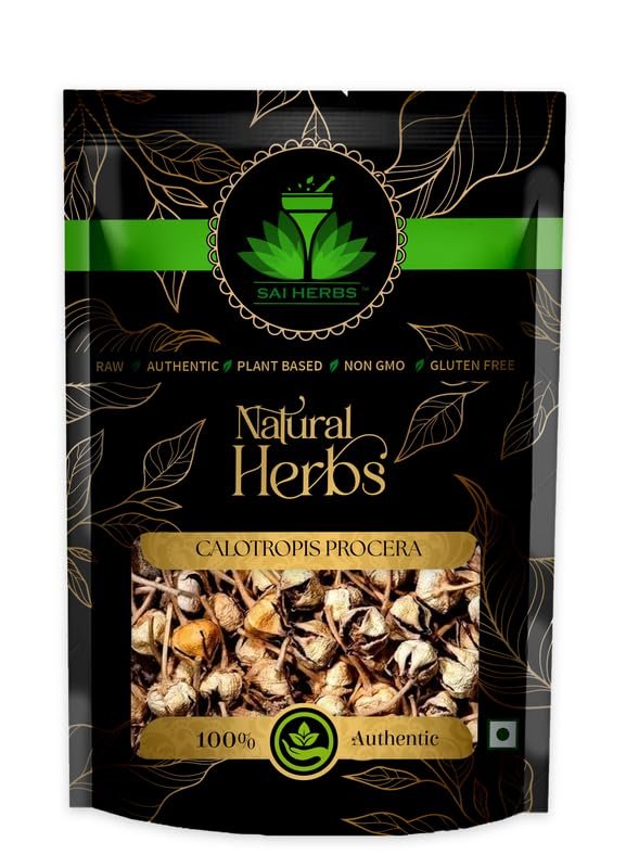 SAI HERBS Calotropis Procera - Apple of Sodom - Calotrope - Giant Milkweed - Madar - Pure & Natural (100 Grams)