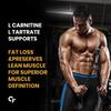 Carbamide Forte L Carnitine Supplement For Men & Women | L-Carnitine Tartrate 2000mg | L'Carnitine Pre & Post Workout Supplement To Help Cobevrt Fat Into Energy | Mango Flavour - 150g view 4