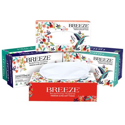 BREEZE BRE022 2 Ply Facial Tissue Soft Wipe & Disposable For Kitchen, Cars, Office & Home Use, 100 Pulls each (Pack of 6, 600 tissues)