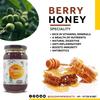 Goldwyn Honey: Berry & Eucalyptus | 100% Pure & Natural | Organic Honey | Unprocessed  Unfiltered  Unpasteurized | Single Origin  No Additives - Ethically Sourced (Combo Pack 2 x 500 Gm) view 4