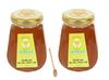 JUNGLE STING 100% Pure-Raw and Unprocessed Honey Collected From Wild Forest Hives, Naturally Sweet Without Added Extra Sugar, Unheated & Contains no preservatives, Multi-Flora Honey 500gm pack of 2 view 1