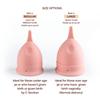 Ezcup Reusable Menstrual Cup for Women with an easy-to-use Portable Sterilising Container, 100% Medical Grade Silicone, FDA Approved, Up to 8-10 Hours use (REGULAR),Pink, Pack of 1 view 2
